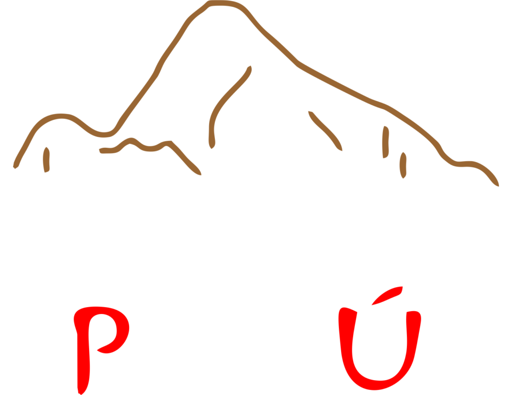 Palo Santo Incienso Ñawpa Perú de 100 gr